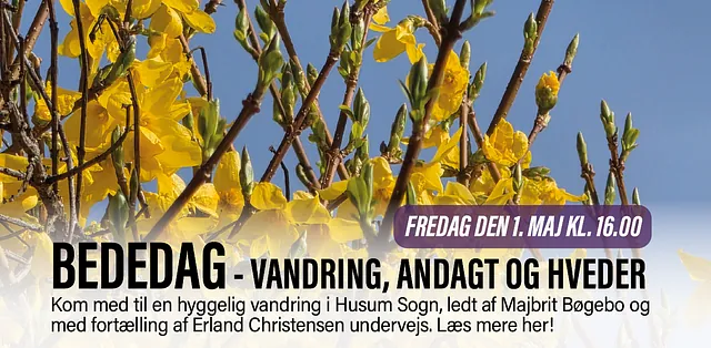 Billede med link til information om bededag, vandring, andagt og hveder i Husum Kirke, fredag den 1. maj klokken 16.00